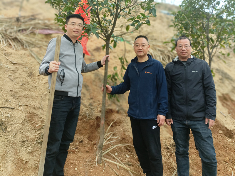 植樹節 (2)